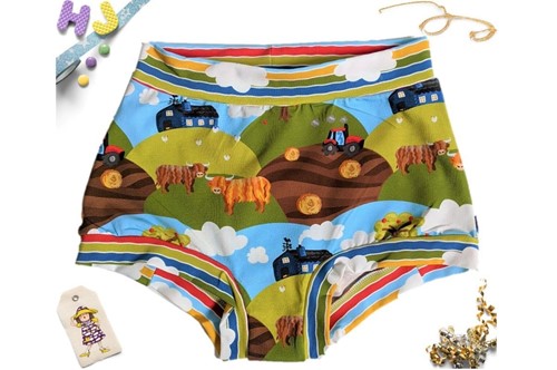 Buy L Boyshorts Highland Cows now using this page